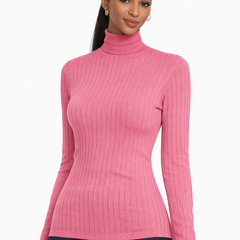 Ribbed Knit Turtleneck Sweater Top