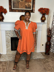 Puff Sleeve Animal Trim Mini Dress