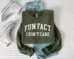 Fun Fact I Don't Care