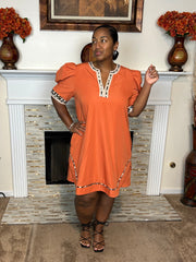 Puff Sleeve Animal Trim Mini Dress